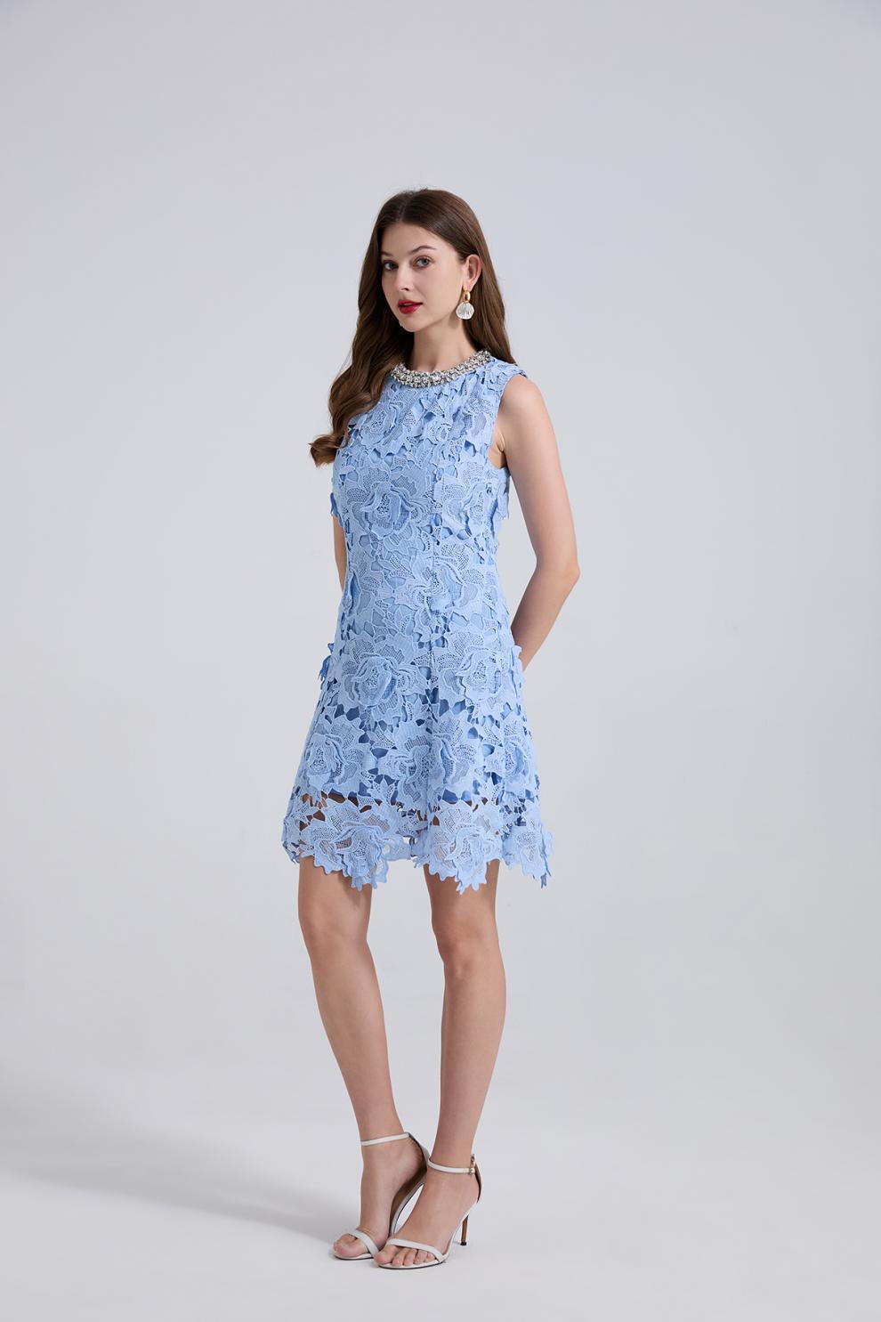 Blue Lace Mini Dress with Pearl Details