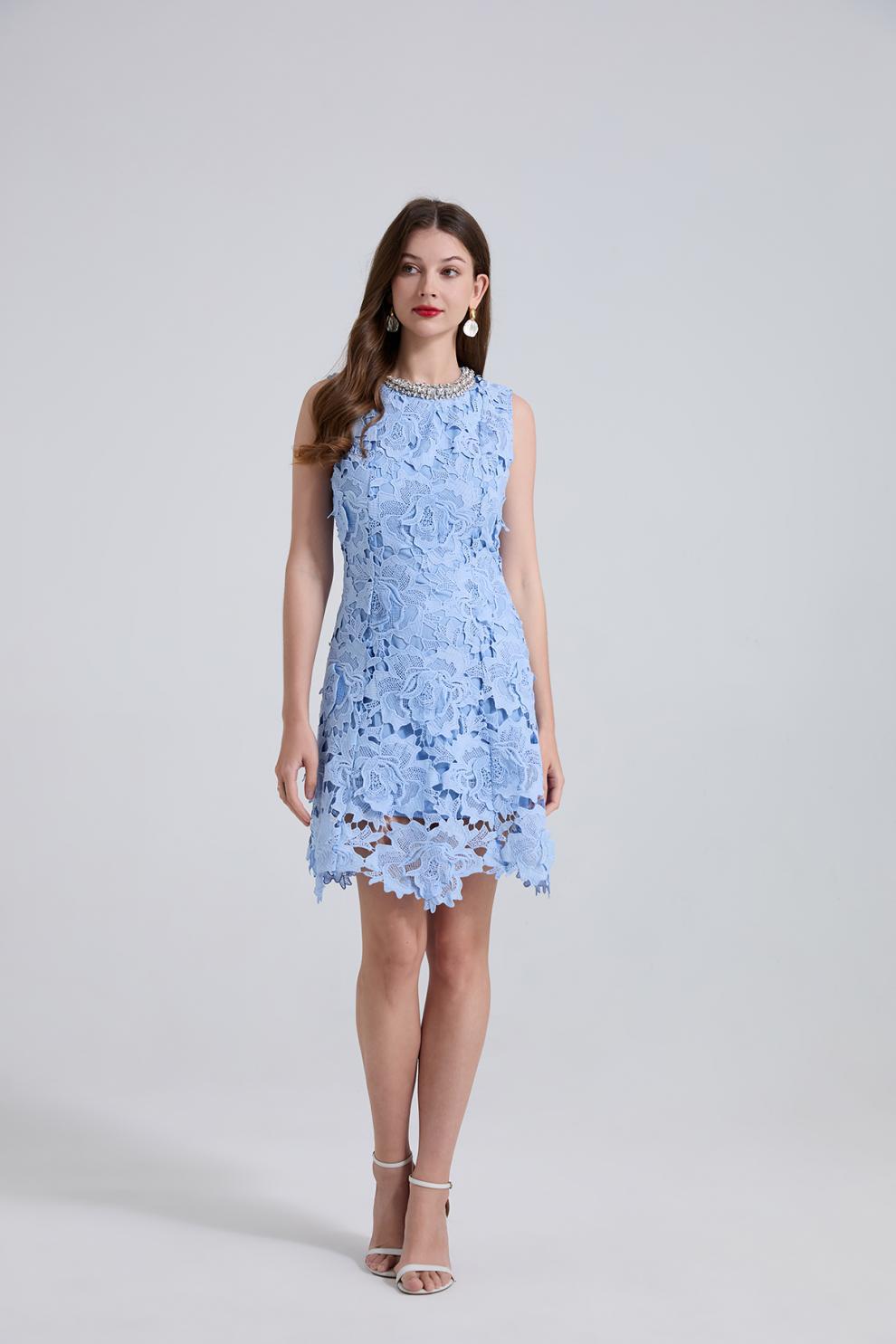 Blue Lace Mini Dress with Pearl Details
