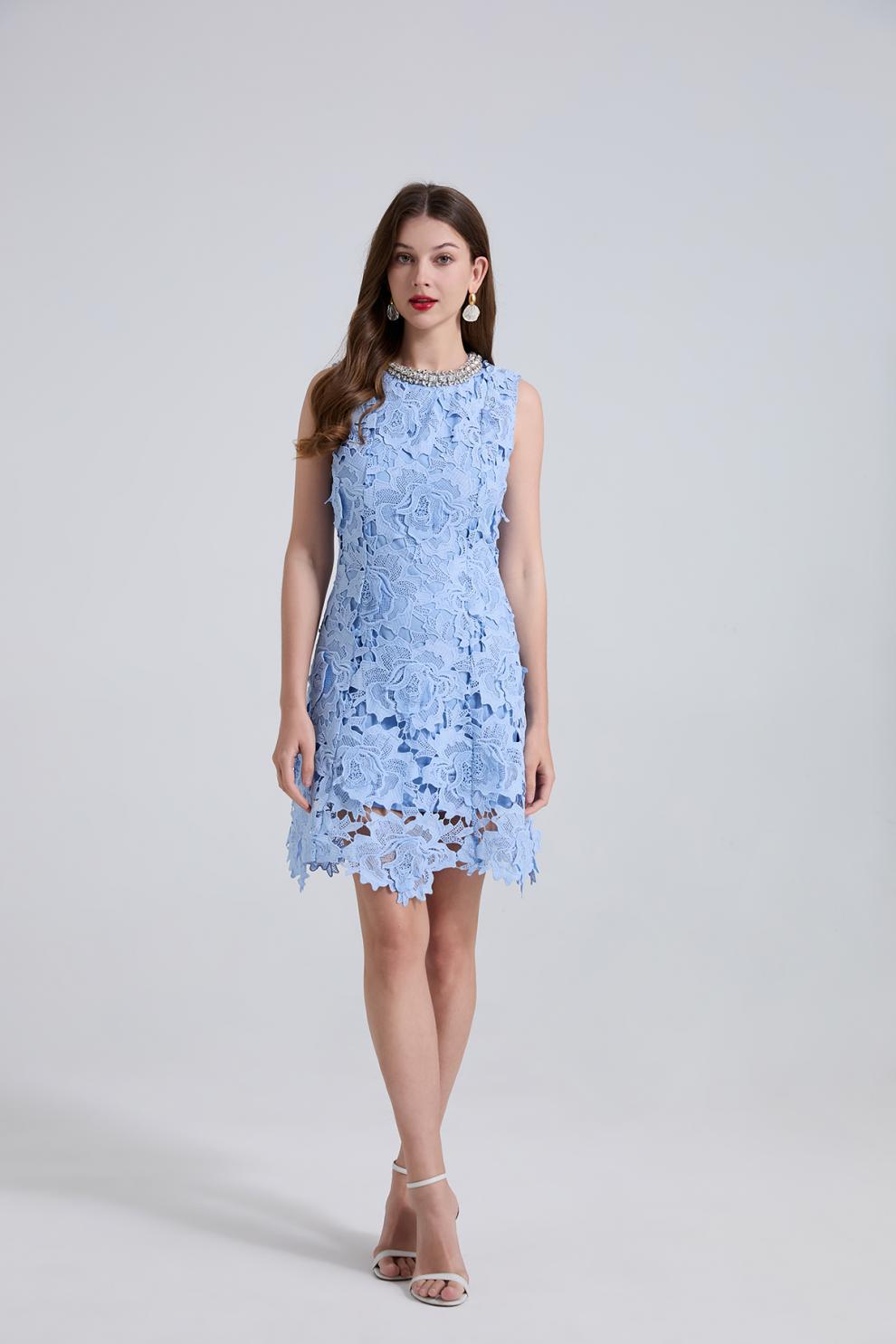 Blue Lace Mini Dress with Pearl Details