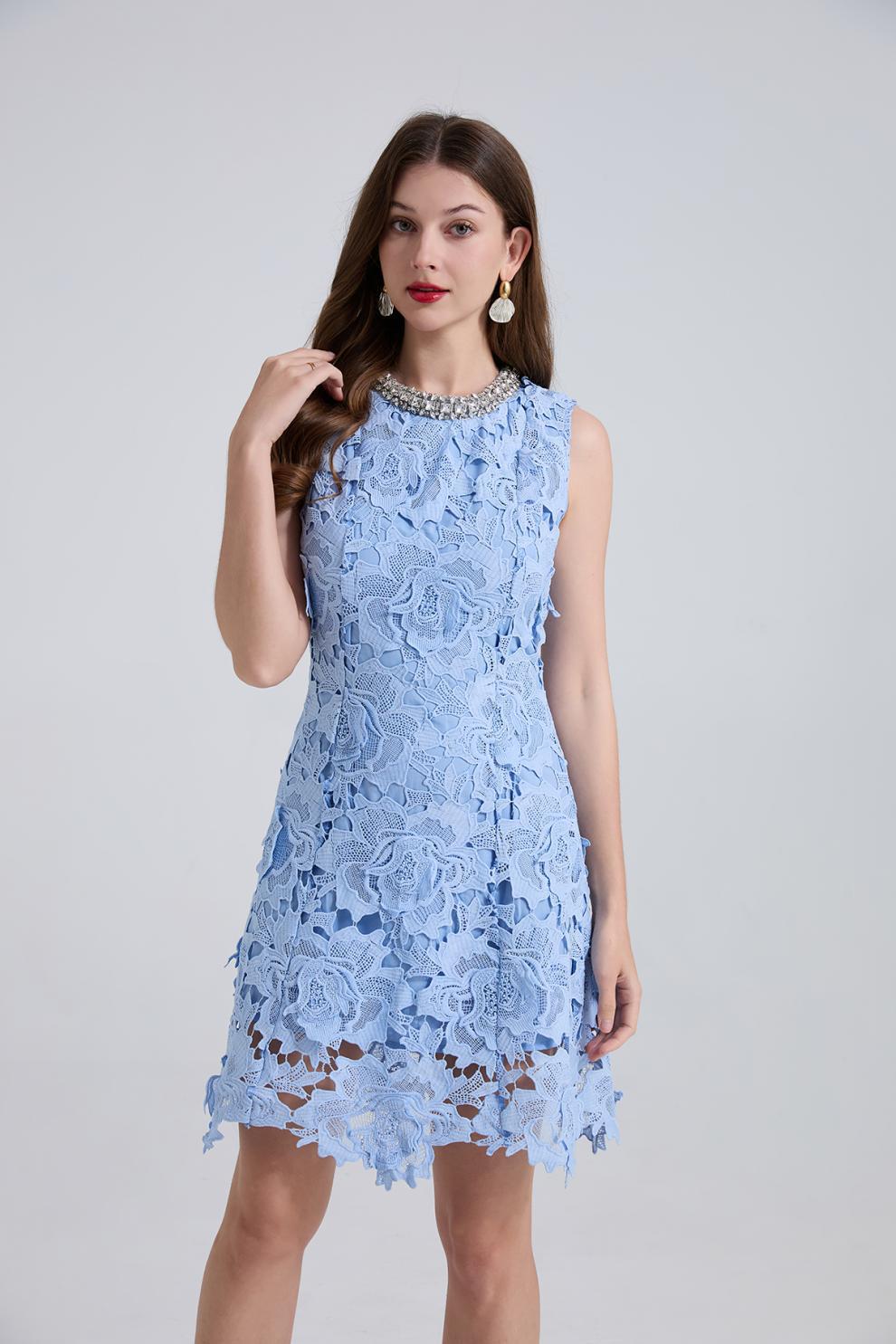 Blue Lace Mini Dress with Pearl Details