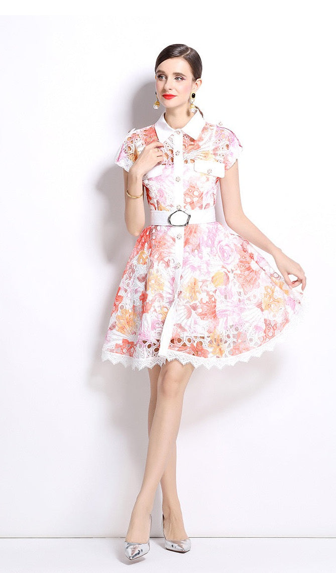 Colette Crochet Collar Dress