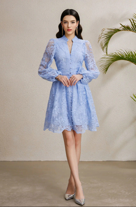 Embroidered Tulle A-Line Mini Dress