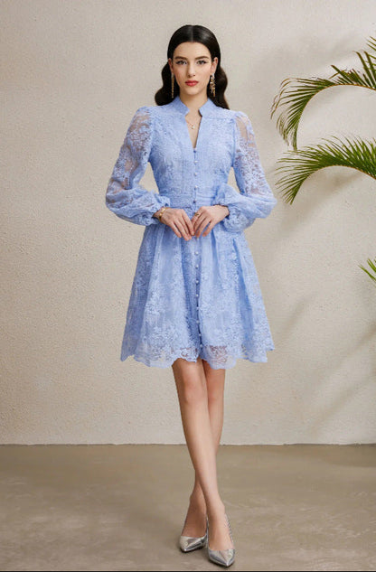 Embroidered Tulle A-Line Mini Dress