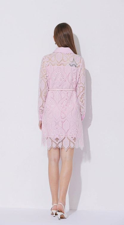 Modern Lace Polo Collar Dress