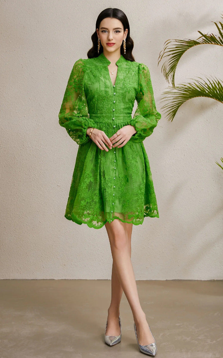 Embroidered Tulle A-Line Mini Dress