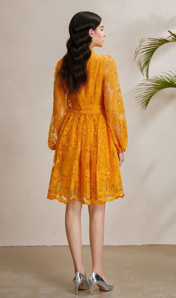 Embroidered Tulle A-Line Mini Dress