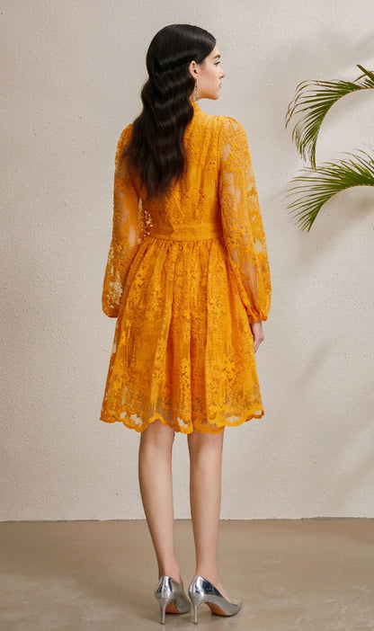 Embroidered Tulle A-Line Mini Dress