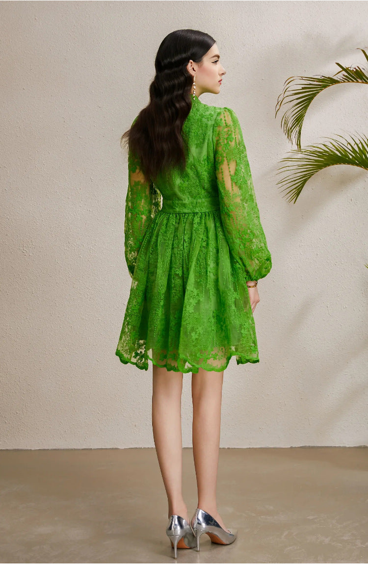 Embroidered Tulle A-Line Mini Dress