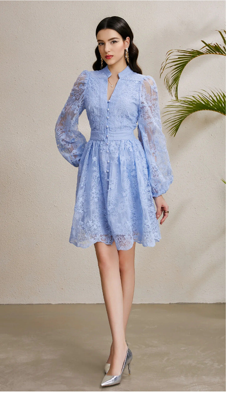 Embroidered Tulle A-Line Mini Dress