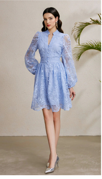 Embroidered Tulle A-Line Mini Dress