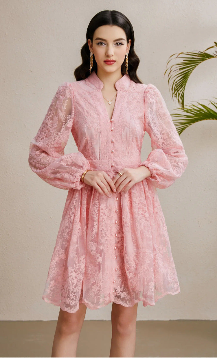 Embroidered Tulle A-Line Mini Dress