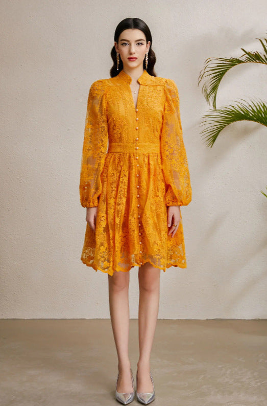 Embroidered Tulle A-Line Mini Dress