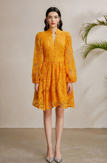 Embroidered Tulle A-Line Mini Dress