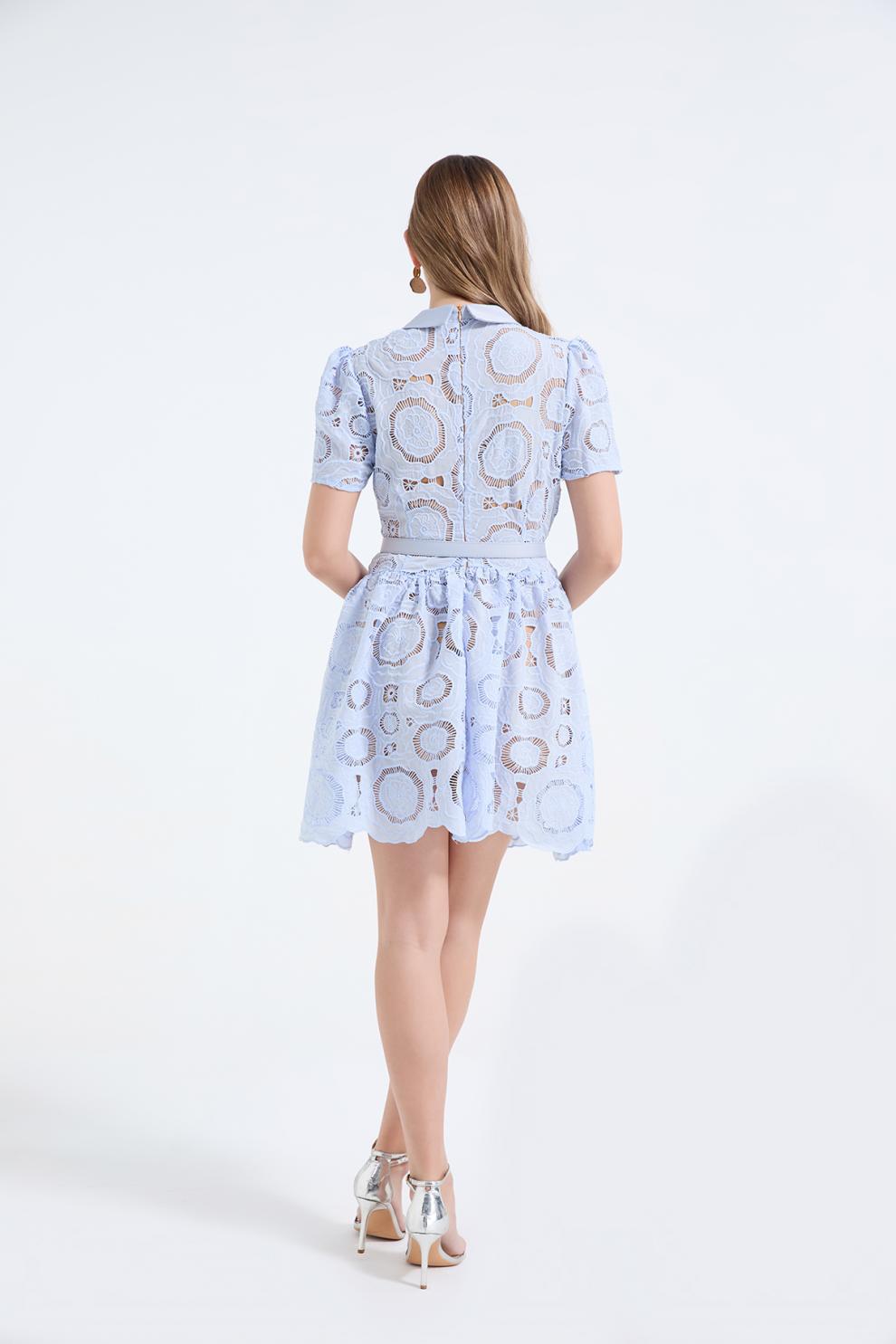 Elegant Lace Puff Mini Dress