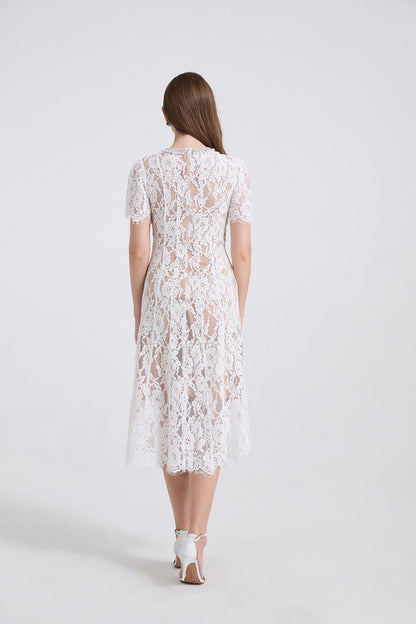 Pearl Embellished Lace Midi Dress