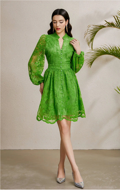 Embroidered Tulle A-Line Mini Dress