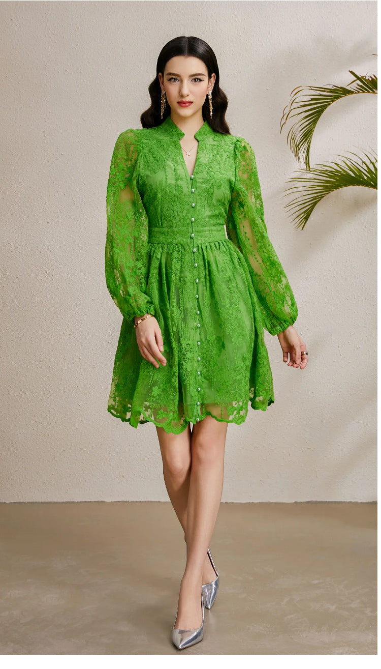 Embroidered Tulle A-Line Mini Dress