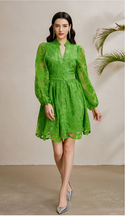 Embroidered Tulle A-Line Mini Dress