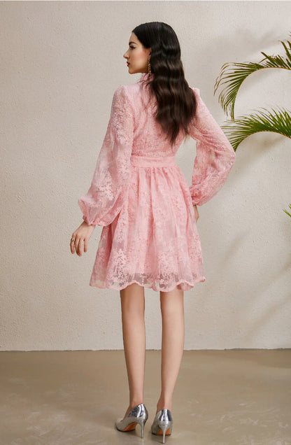 Embroidered Tulle A-Line Mini Dress