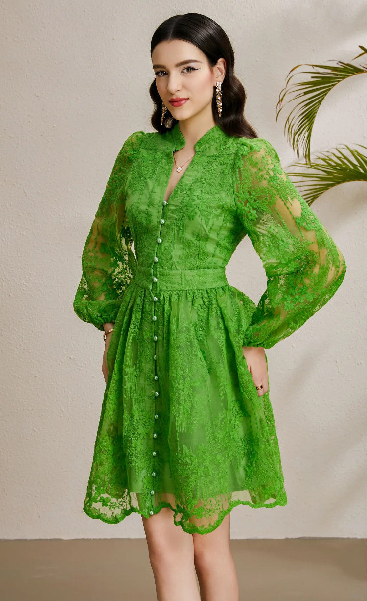 Embroidered Tulle A-Line Mini Dress