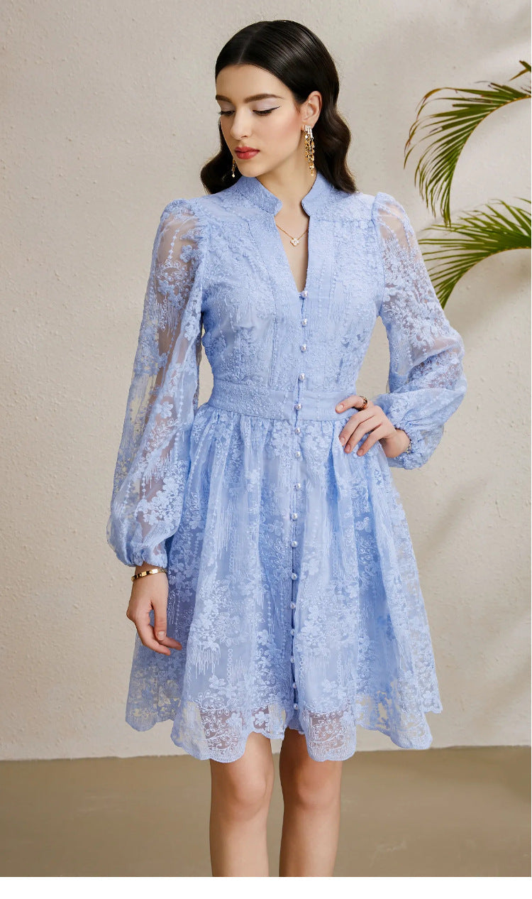 Embroidered Tulle A-Line Mini Dress