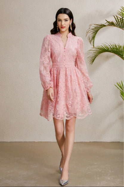 Embroidered Tulle A-Line Mini Dress