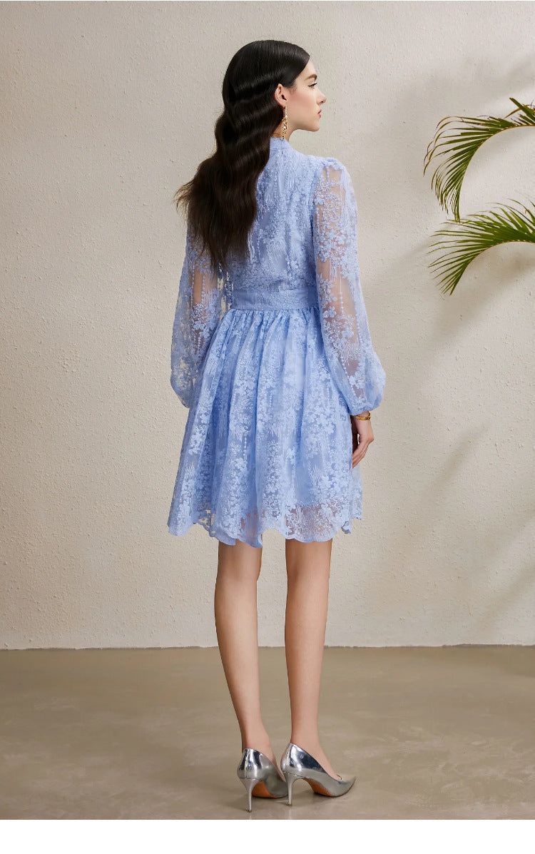 Embroidered Tulle A-Line Mini Dress