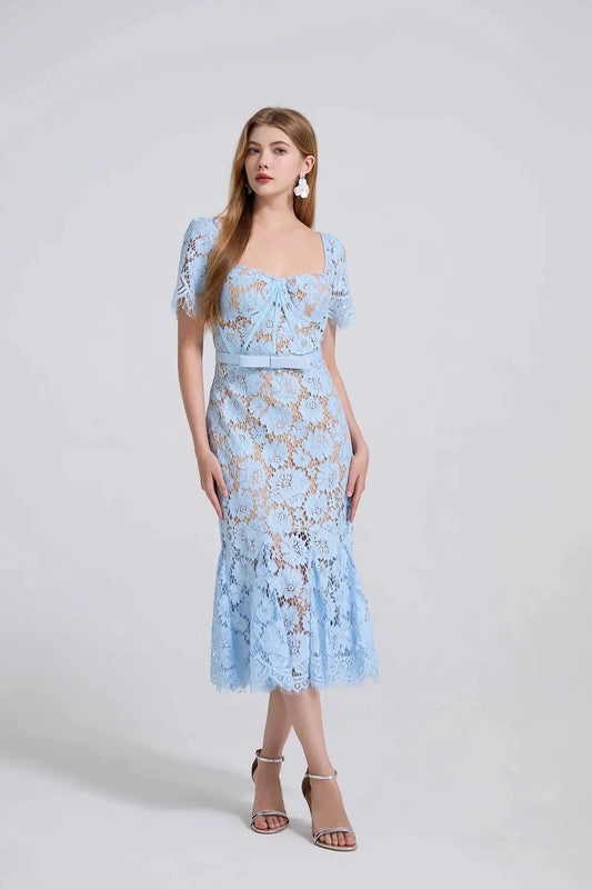 Elegant Lace Mermaid Evening Dress