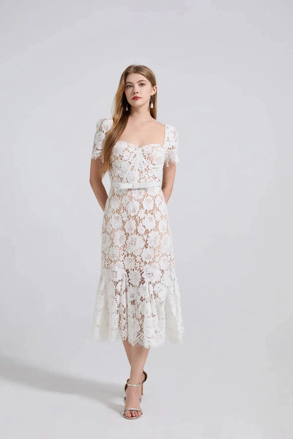 Elegant Lace Mermaid Evening Dress